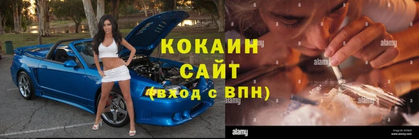 молекула духа Богданович
