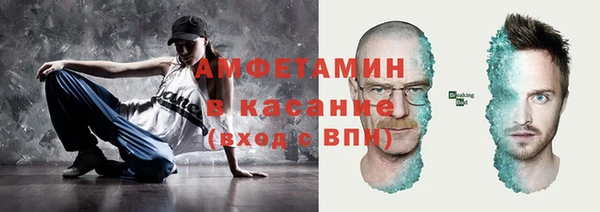 молекула духа Богданович