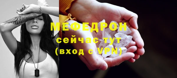 молекула духа Богданович