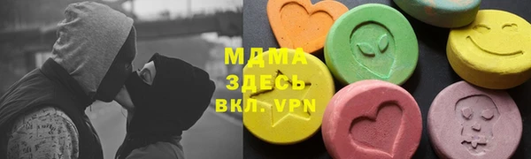 молекула духа Богданович