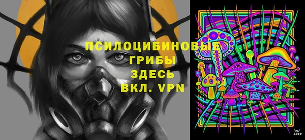 стаф Богородицк