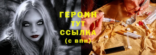 молекула духа Богданович
