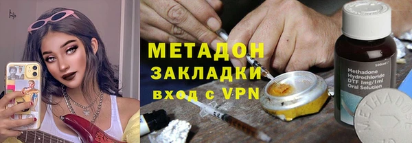молекула духа Богданович