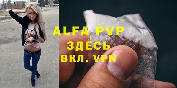 стаф Богородицк