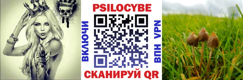 что такое   Очёр  blacksprut tor  Галлюциногенные грибы Magic Shrooms 